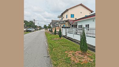 Photo of 爱大华新村打造绿色家园 住宅空地植380蓝松树