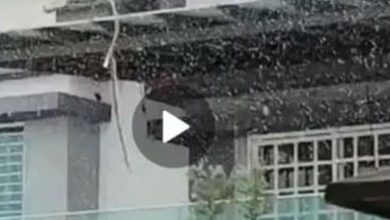 Photo of 劳勿下雪啦？居民惊喜万分