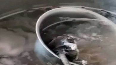 Photo of 熬到发白!早餐店汤锅 捞出死老鼠