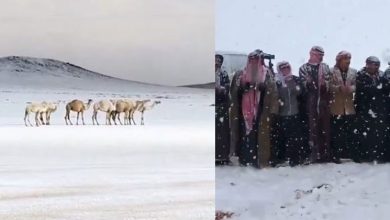 Photo of 沙漠下雪了？沙地阿拉伯 一夜变“银白世界”