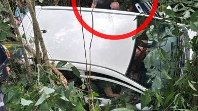 Photo of 载4长者轿车 失控坠坡