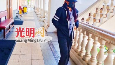Photo of 【越南女司机撞死恆毅生】被告律师挑验车数疑点 无法论定肇祸车属原状