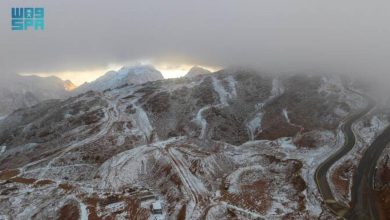 Photo of 沙地北部罕见降雪 多地迎寒潮暴雨