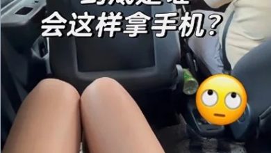 Photo of 华裔女乘客:电召车司机一直举手机对准我腿部 我已拍下证据向电召平台举报