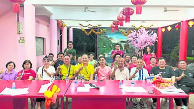 Photo of 1月杪至春节期间 天湖宫多活动庆100年