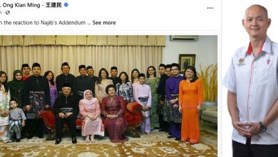 Photo of 杨美盈庆祝纳吉败诉论招来巫统攻击  王建民斥楊落井下石不利希盟国阵合作