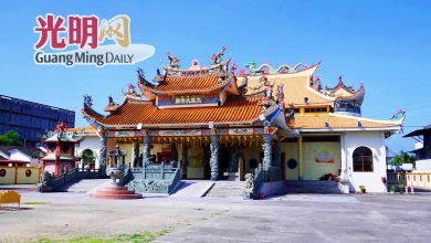 Photo of 民众弃置流浪狗引发问题 吉打斗母宫为狗烦