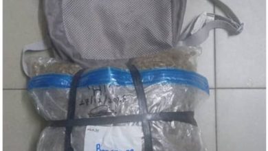 Photo of 警接情报截查摩多 捕女子起3.3万元大麻花