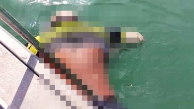 Photo of 疑北海码头坠海轻生 搜救员寻获男子遗体