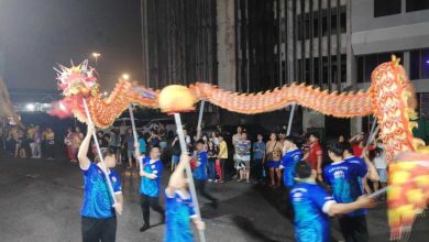 Photo of 威省大旗鼓雨中舞动 羊驼亮相游行迎马年 