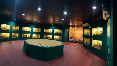 Photo of 槟飞禽公园耗30万打造 爬行动物之家 开放了