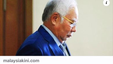 Photo of 纳吉未获居家服刑 杨美盈庆贺贴文遭阿克玛指责