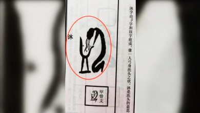 Photo of 甲骨文貌似洗头发呕吐 猜这是什么字?