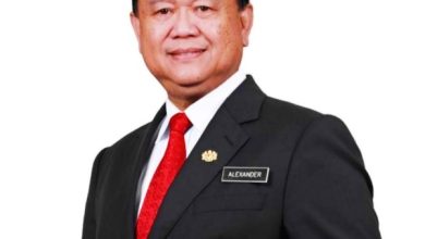 Photo of 亚历山大 明日起兼任企合部长