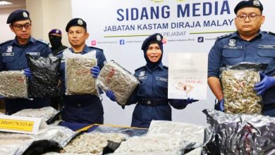 Photo of 排屋变毒品包装厂 床单箱暗藏乾坤 关税局破今年最大宗大麻花毒品案
