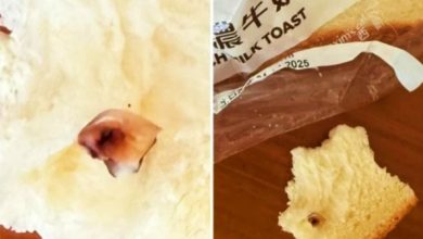 Photo of 牛奶面包惊现疑似牙齿？ 老人家呕了一整天有阴影