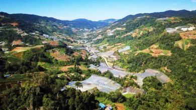 Photo of 玻朱宾全国最热32°C 统计局:金马仑最凉17°C