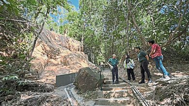 Photo of 进行最后阶段修整 升旗山登山径重开