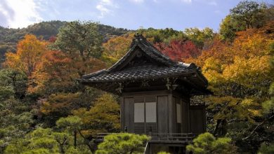 Photo of 中资大肆鲸吞日本佛寺 “一条龙”控制死亡产业链！暗黑目的曝光