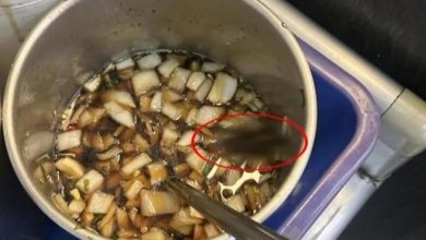 Photo of 酱汁有活蟑螂！ 卫生局紧急稽查台南知名牛肉汤店