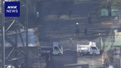 Photo of 虚惊一场!日本东京多摩动物公园逃脱狼被捕获 无人受伤