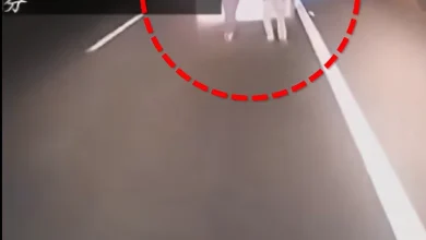 Photo of 新能源车高速上没电 两人推车被撞身亡