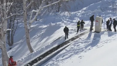 Photo of 日本5岁男童滑雪场遭输送梯夹手臂 送院后伤重不治