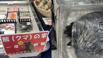 Photo of 日本超市惊见整只熊掌！黑毛指甲都在 售价曝光