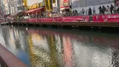 Photo of 视频 | 大阪道顿堀川鱼群反常涌入 日网忧地震前兆