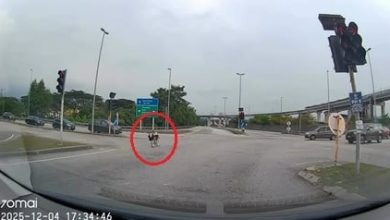 Photo of 骑蚊型脚车闯红灯险酿祸 警捕两名少年调查