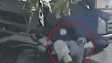 Photo of 惊险一幕！女骑士头部遭货车碾压 “这个习惯”让她死里逃生