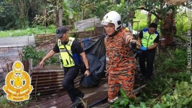 Photo of 男尸悬挂3米高树上 消拯员用绳索降下遗体
