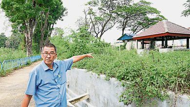 Photo of 年久未修 杂草丛生 增江河滨休闲公园荒废