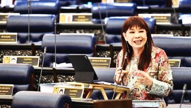 Photo of 囯会〡SARA和BUDI 95顺利落实 林慧英:或用大马卡发放更多援助