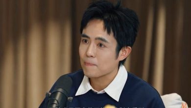 Photo of 被拐期间遭盗刷网贷 王星返国自行分期还款