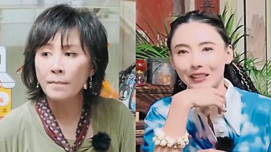 Photo of 张柏芝想生到不能生 刘嘉玲“真的爱当妈”