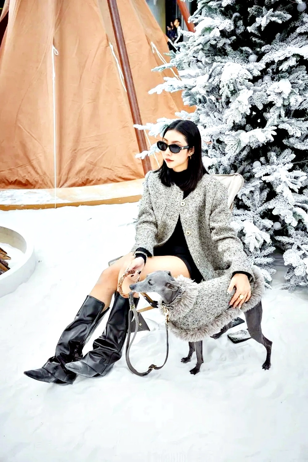 自制宠物服饰爆红女子年入逾200万| 国际| 2025-12-23 – 光明日报