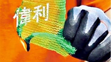Photo of 香港宏福苑五级大火〡安基苑紧急拆除棚网 曾“试火”有棚网样本烧逾分钟