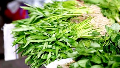 Photo of 雨季减产 本地菜涨50%