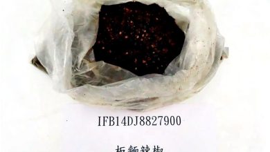 Photo of 大马板面辣椒在台验出致癌物 日本草莓农药超标违规