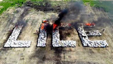 Photo of 土警烧毁20顿大麻 当地2.5万村民“全吸嗨了”