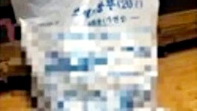 Photo of 他直播虐待仓鼠过程 “已送它们去来世”