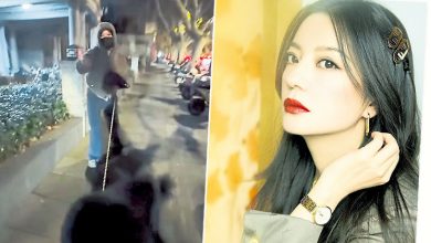 Photo of 宣布离婚1周年 赵薇爆发少女心