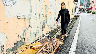 Photo of 甲市厅整治脏乱场所 发320通告1罚单