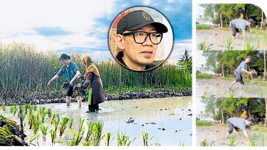 Photo of 【吉安影话 下】说服范冰冰被摧毁 从外形到灵魂入乡随俗
