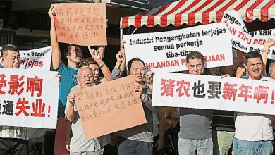 Photo of 更新执照条件苛刻 猪农示威轰劳民伤财