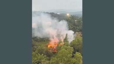 Photo of 轰埠公主城青翠园 疑天气燥热发生林火