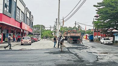 Photo of 苏建祥：22日到玻璃口华小 安华任相后首访文冬