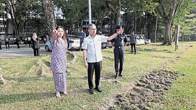 Photo of 打造隆市的休闲好去处 默布草场重新开放