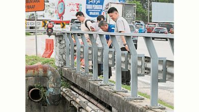 Photo of 雅凌小桥再现路坑 沈春祥促速维修